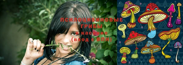 первитин Арсеньев